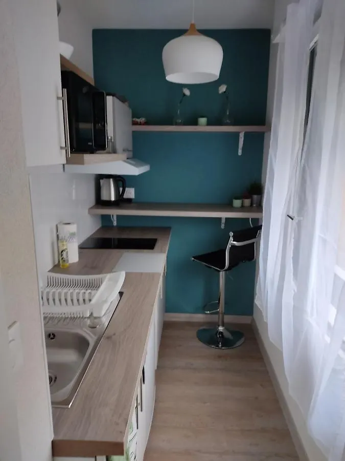 Apartment Studio Cosy Proche Du Centre + Parking Gratuit Cluses France